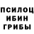 Галлюциногенные грибы Psilocybine cubensis QSE4