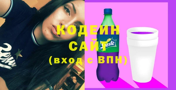 индика Заволжье