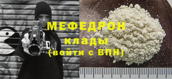 индика Заволжье