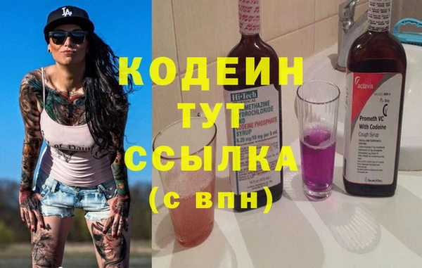 индика Заволжье