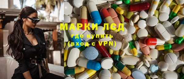 мдпв Ельня