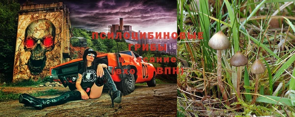 мдпв Ельня