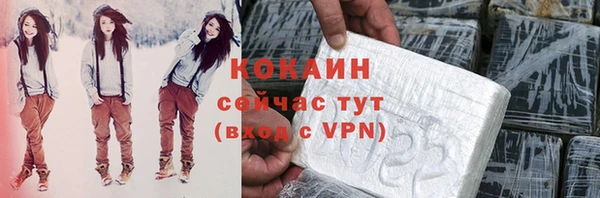 индика Заволжье