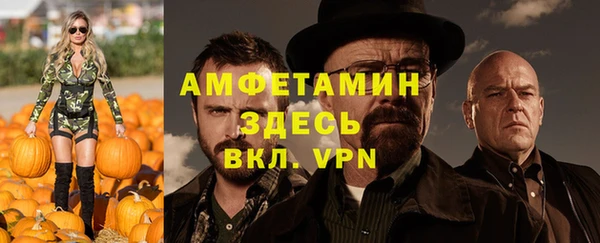 индика Заволжье