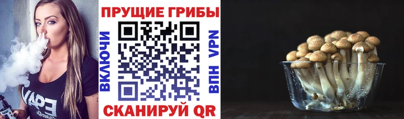 Купить закладки  Первомайск  Галлюциногенные грибы мицелий 